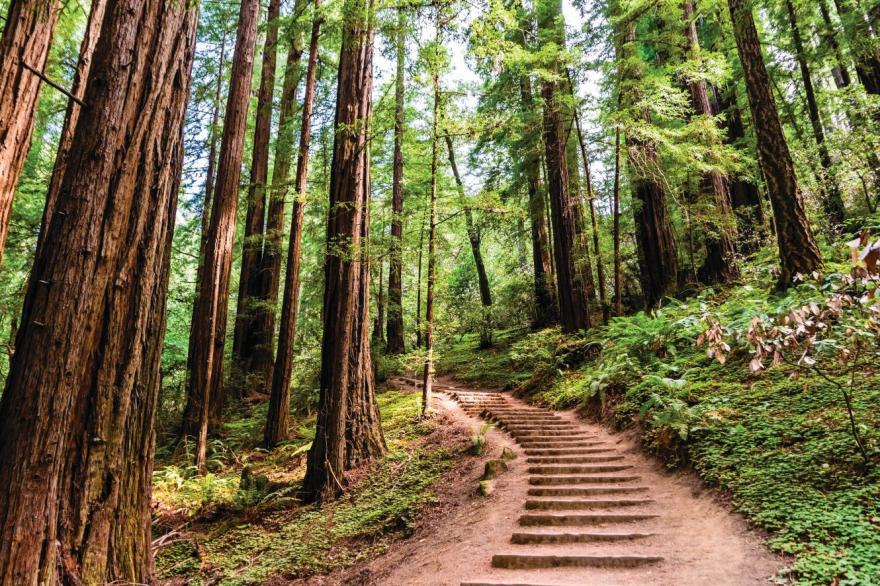 This is the best hiking trail in each Bay Area county, according to 850,000 AllTrails reviews
